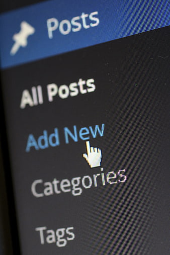 Close-up of WordPress Posts Menu on Computer Screen