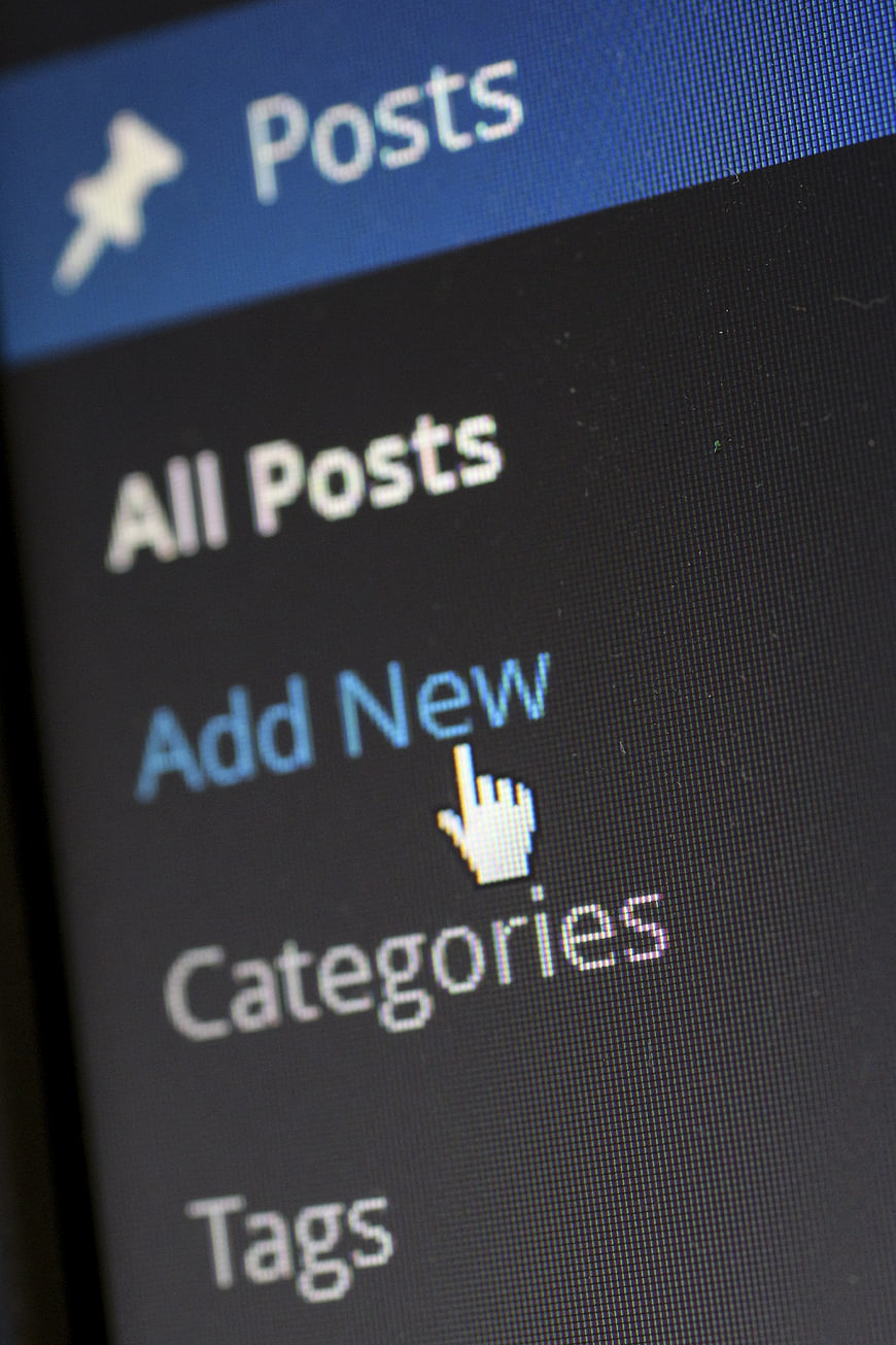 Close-up of WordPress Posts Menu on Computer Screen