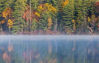 Misty Autumn Lake with Vibrant Forest Reflections