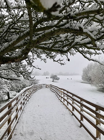 Snow-covered wooden bridge leading through winter landscape
