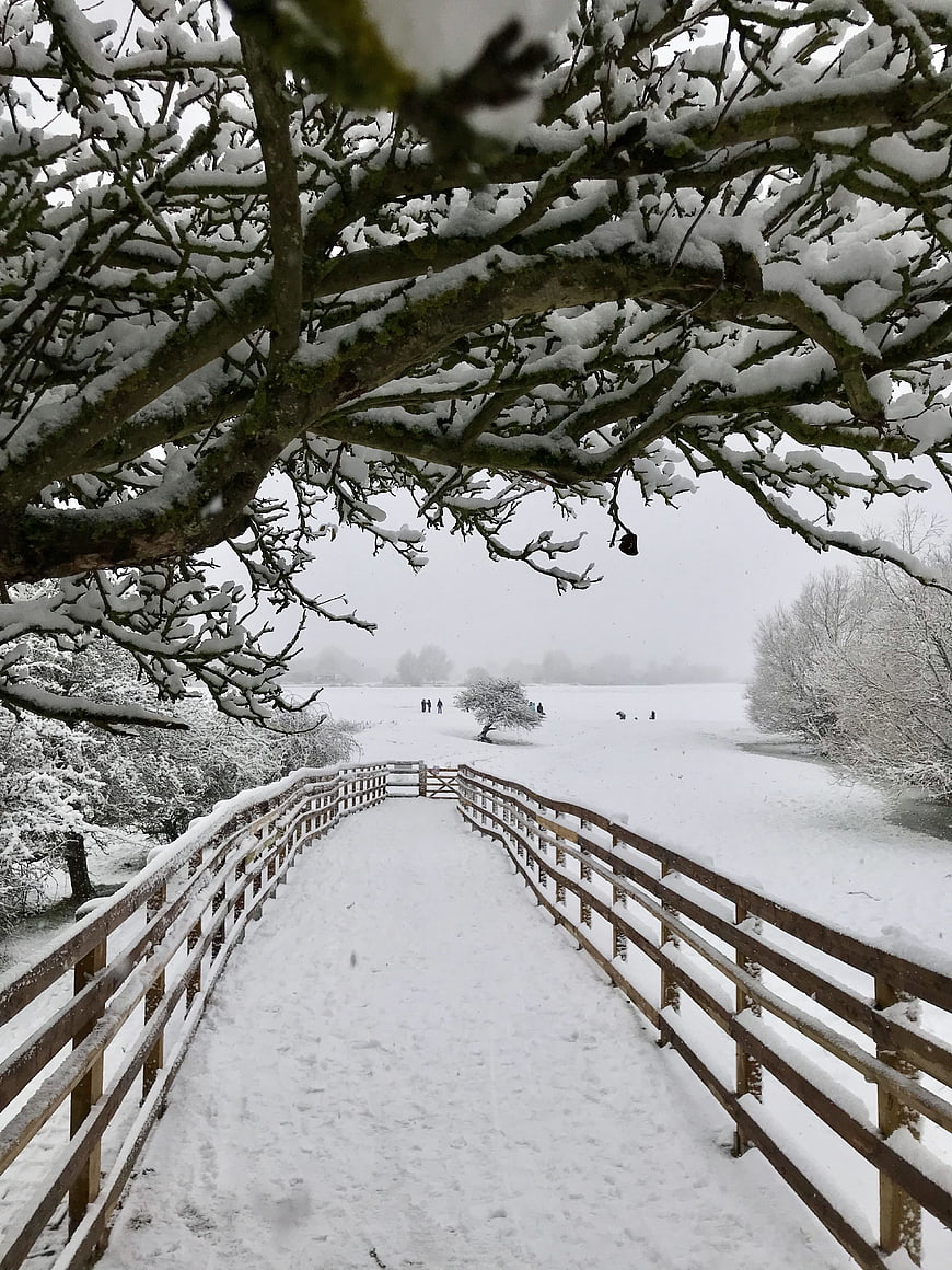 Snow-covered wooden bridge leading through winter landscape