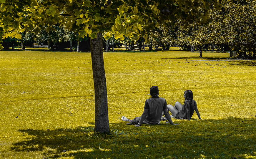 Couple sitting under tree in park with selective color