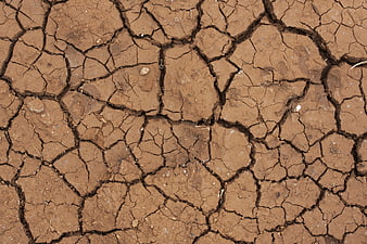 Close-up of cracked dry earth texture background