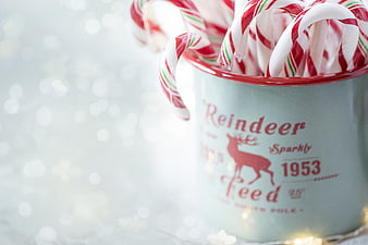 Vintage Reindeer Feed Cup with Candy Canes and Bokeh