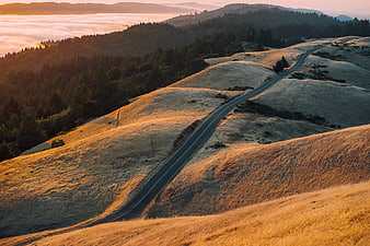 Winding road through golden hills at sunrise with sea of fog