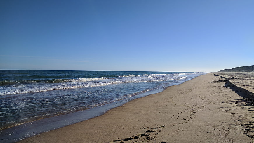 Serene sandy beach with gentle waves and clear blue sky
