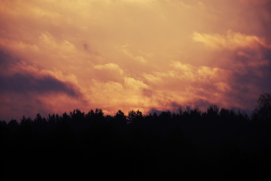 Dramatic orange sunset sky over dark forest silhouette