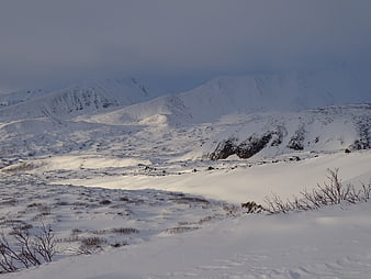 Snowy Mountain Landscape with Barren Bushes in Winter