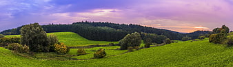 Panoramic Green Hills and Forest at Sunset