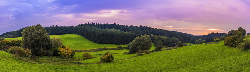 Panoramic Green Hills and Forest at Sunset