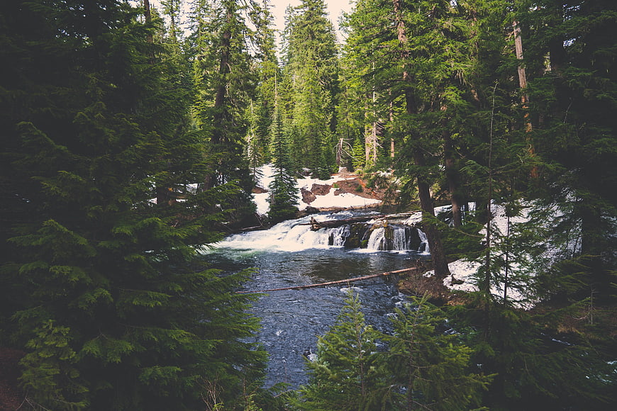 Serene Forest Stream with Snow and Waterfall