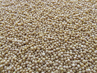 Close-up texture of white quinoa seeds background