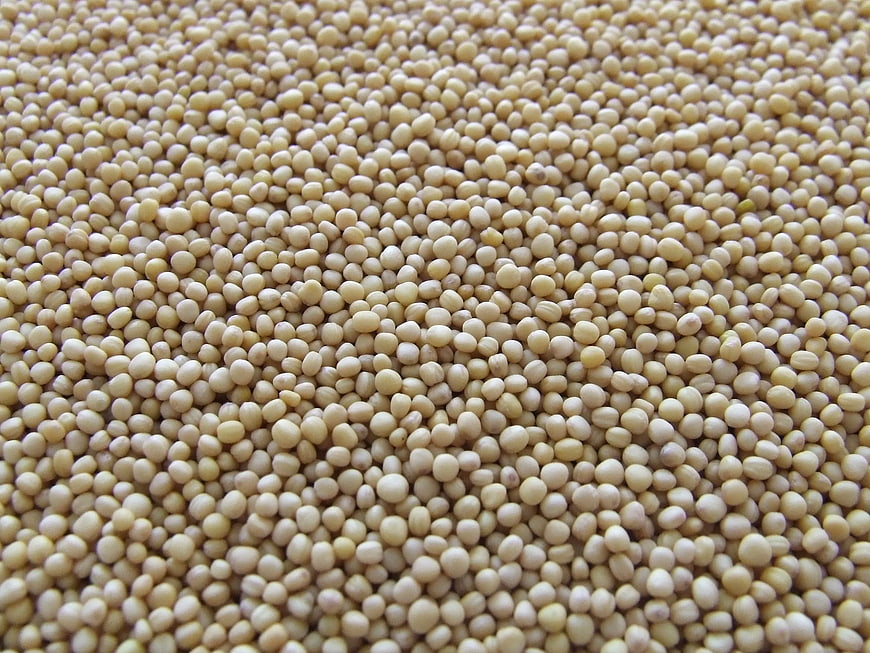 Close-up texture of white quinoa seeds background