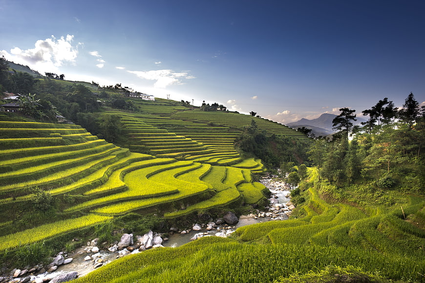 Sapa Rice Terraces in Vietnam with Mountain Stream and Blue Sky