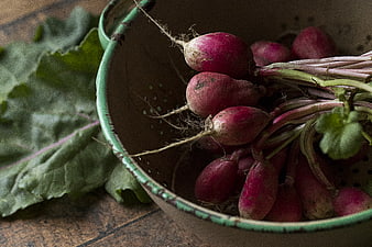 Fresh Harvested Radishes in Rustic Colander