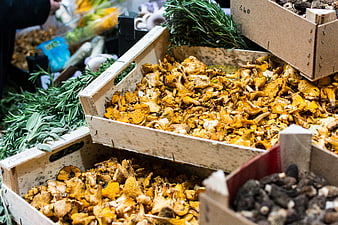 Fresh chanterelle mushrooms and herbs in wooden crates at market