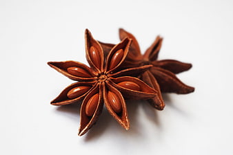 Star Anise Spices On White Background