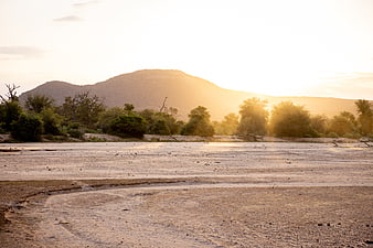 Golden sunset over dry riverbed with mountains and trees