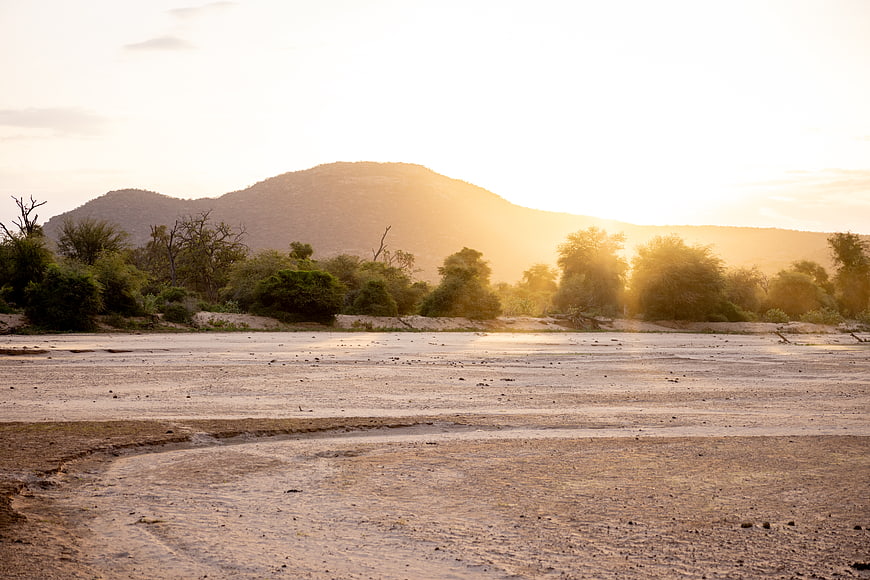 Golden sunset over dry riverbed with mountains and trees