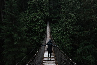 Person walking on suspension bridge in dark forest