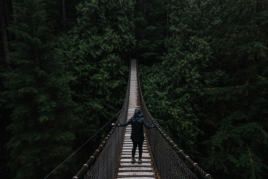 Person walking on suspension bridge in dark forest