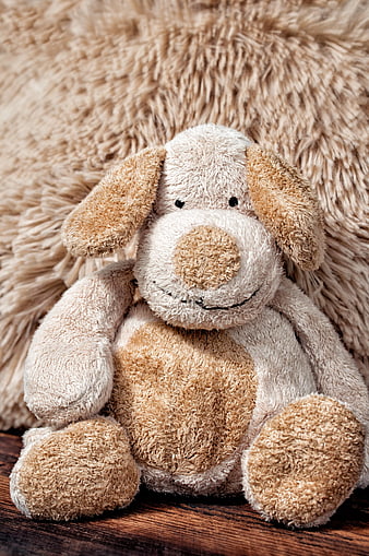 Cute beige plush dog toy on wooden surface