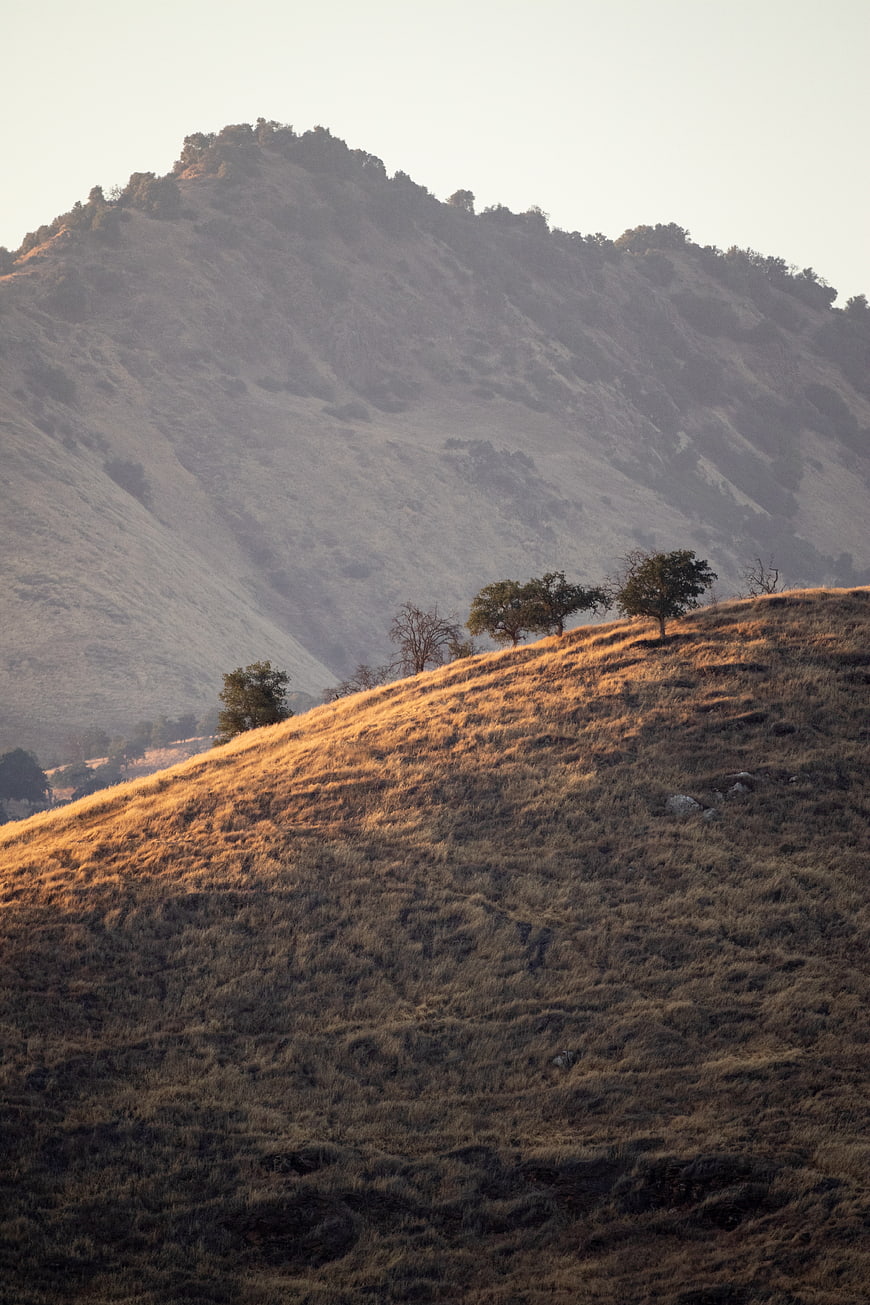 Golden sunlight illuminates dry grassy hills and scattered trees
