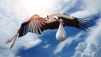 White stork carrying baby bundle in blue sky