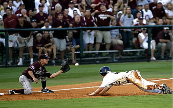 Baseball player sliding into base while fielder catches ball