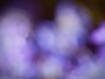 Abstract purple and violet blurred background with soft bokeh