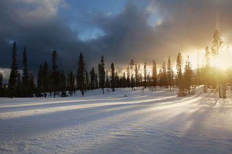 Winter Landscape with Sunlight Breaking Through Clouds Over Snowy Forest