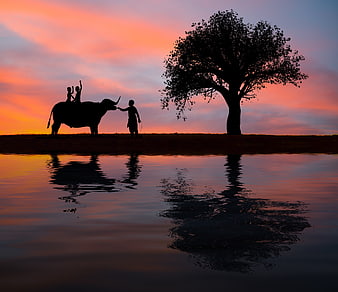 Silhouette of Elephant and Family at Sunset in Thailand