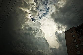 Dramatic Stormy Sky with Bird and Urban Building