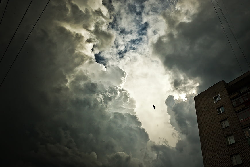 Dramatic Stormy Sky with Bird and Urban Building