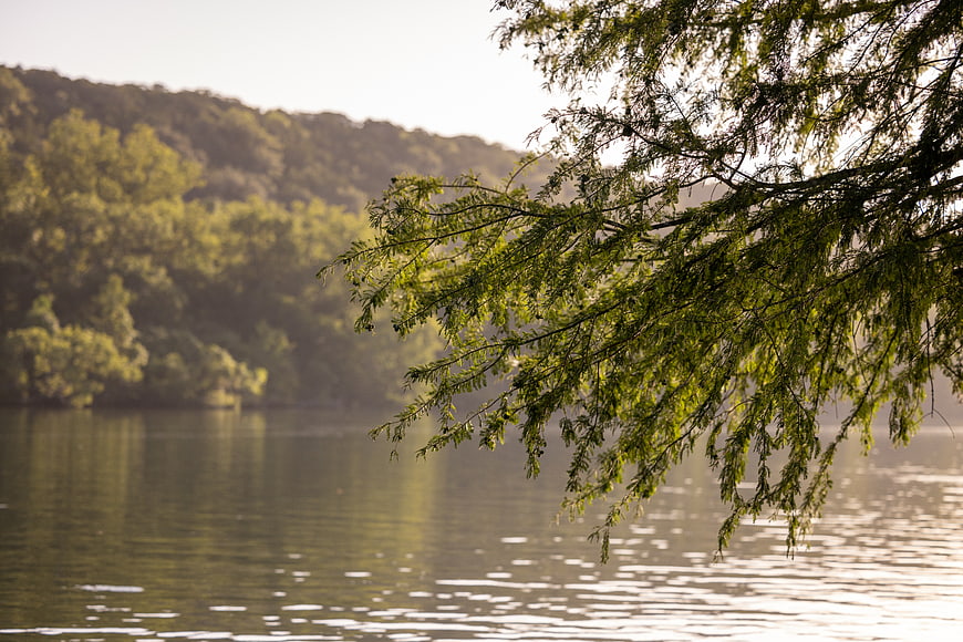 Serene Lake Landscape with Sunlit Tree Branches