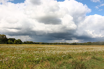 Dramatic Storm Clouds Over a Wildflower Meadow Landscape
