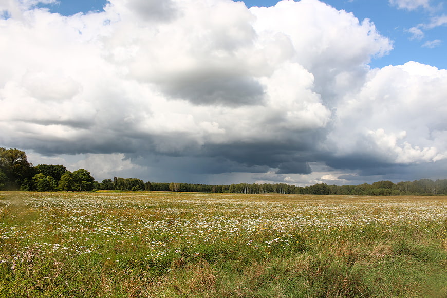 Dramatic Storm Clouds Over a Wildflower Meadow Landscape