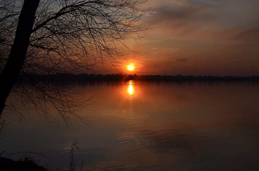 Serene Sunset Over Calm River with Silhouetted Tree