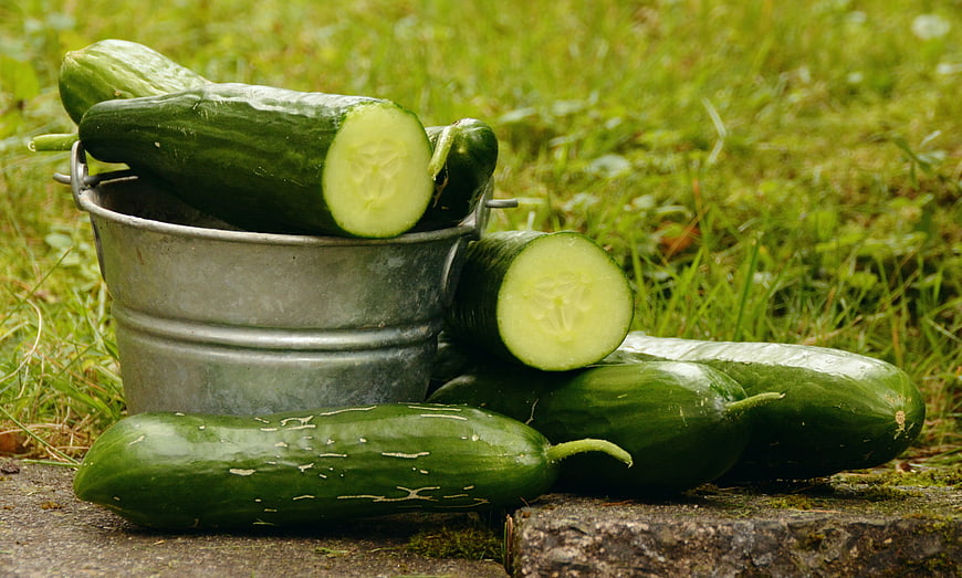 Fresh Garden Cucumbers In Metal Bucket On Stone Surface