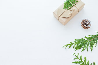 Minimalist Christmas Gift with Pine Branches and Copyspace