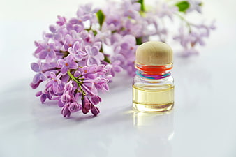 Lilac Essential Oil Bottle With Fresh Flowers On White Background