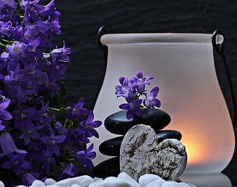 Zen Spa Still Life with Purple Flowers and Glowing Lantern