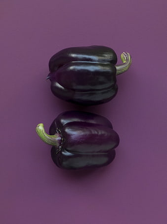 Two purple bell peppers on a purple background