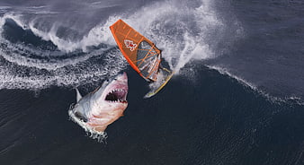 Aerial view of windsurfer dodging giant shark in ocean