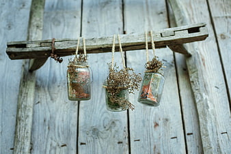 Rustic dried flowers in hanging glass jars on wooden wall