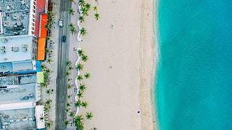 Aerial View of Tropical Beach with Turquoise Water and Palm Trees