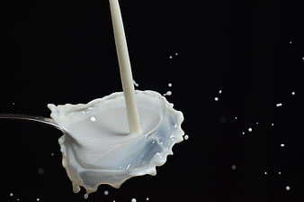 Fresh milk pouring into a spoon against black background