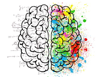 Split brain illustration with math formulas and colorful paint splatters