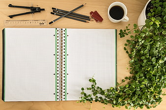Top View of Open Notebook with Stationery and Plant on Desk