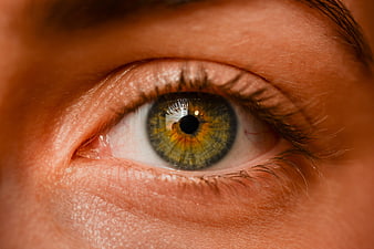 Extreme Close-Up of Human Eye with Green and Gold Iris